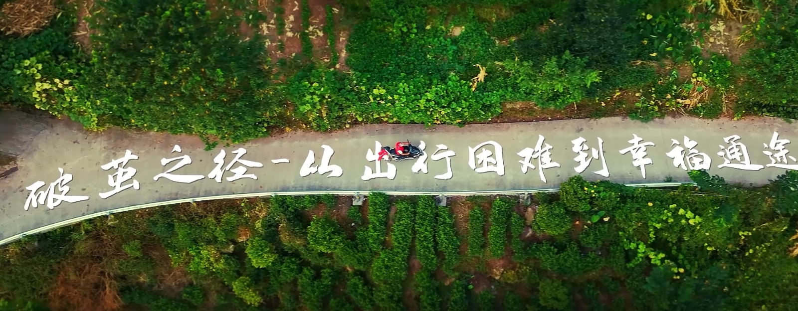 清風300秒 | 破繭之徑——從出行困難到幸福通途